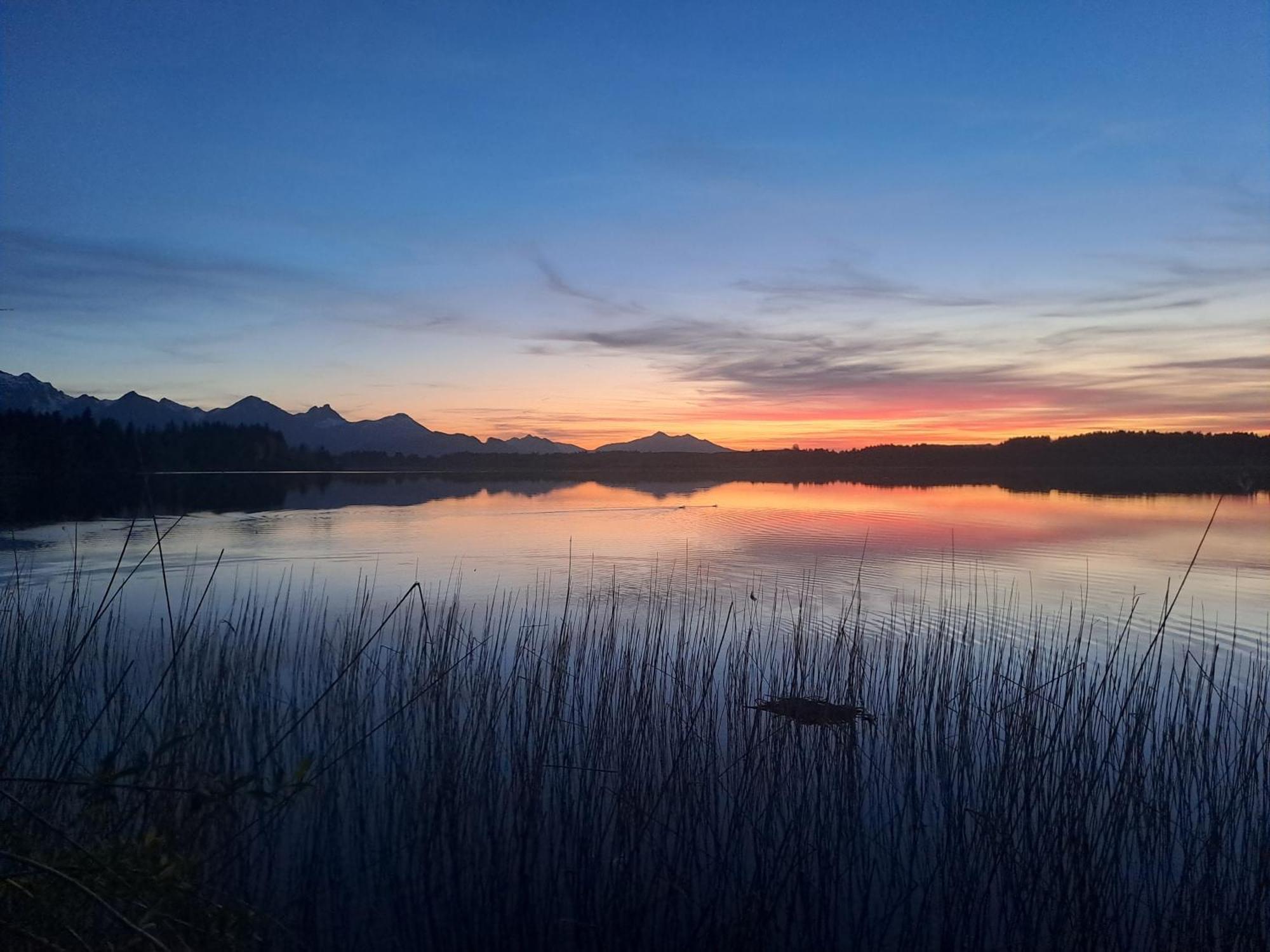 Allgaeu-Genuss Halblech Exteriér fotografie